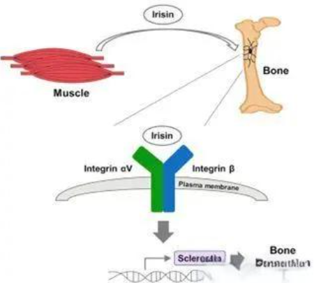 20240522092806_14669 (1).png