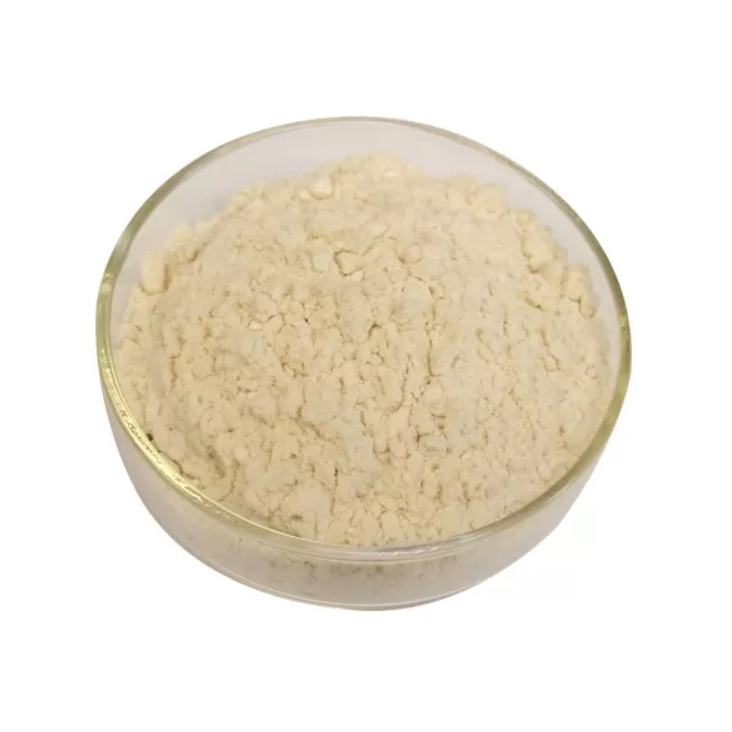 N 4 Aminobenzoyl L 글루탐산 엽산 CAS 4271-30-1
