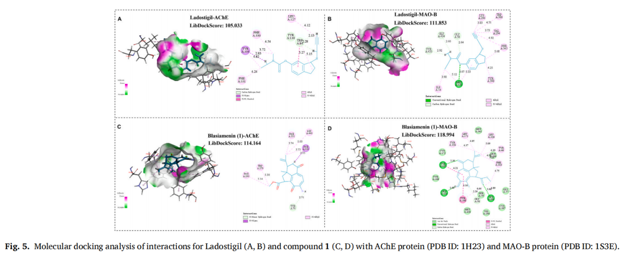 블라시아메닌, 블라키아 시암시스에서 추출한 새로운 재배열 디노르-디테르페노이드(팔미토일레탄알마이드 및 우라실,  우시 퍼퍼팜에서 생산)